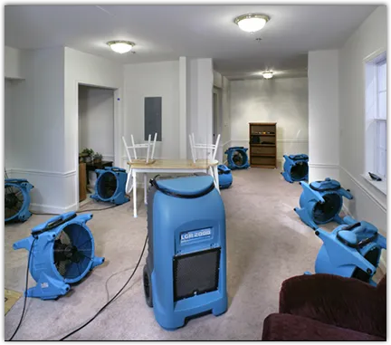 Water Damage Restoration services in Elgin, TX