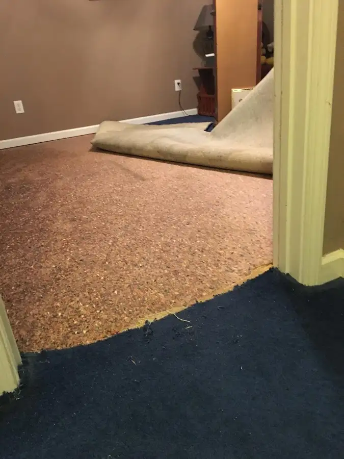 Carpet pad removal revealing water damage during Water Mitigation Services in Elgin